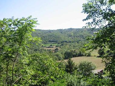 Holiday Apartment in Talla (Arezzo) or holiday homes and vacation rentals