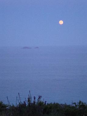 Holiday House in PORTO VECCHIO (Corse-du-Sud) or holiday homes and vacation rentals