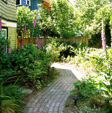 Lush garden and path to suite