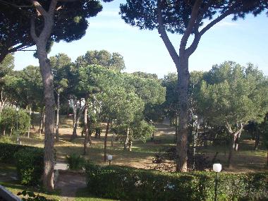 Holiday Apartment in Platja D'Aro (Girona) or holiday homes and vacation rentals