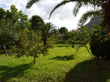 Holiday House in Scopello (Trapani) or holiday homes and vacation rentals