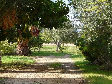 Holiday House in Scopello (Trapani) or holiday homes and vacation rentals