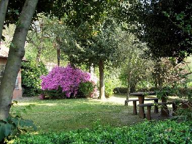 Holiday House in Pettenasco (Verbano-Cusio-Ossola) or holiday homes and vacation rentals
