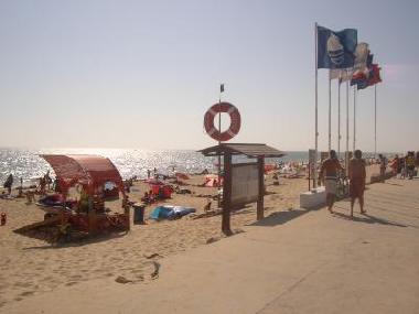 Holiday Apartment in Faro (Algarve) or holiday homes and vacation rentals