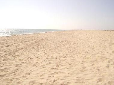 Holiday Apartment in Faro (Algarve) or holiday homes and vacation rentals