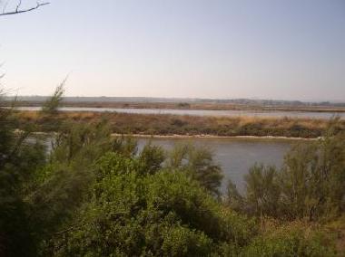 Holiday Apartment in Faro (Algarve) or holiday homes and vacation rentals