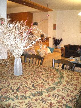 Another view of the Living Area