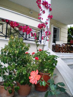 Front view of the house