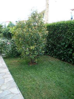 Back view of the Garden