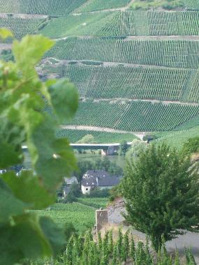 Holiday Apartment in Piesport (Mosel - Saar) or holiday homes and vacation rentals