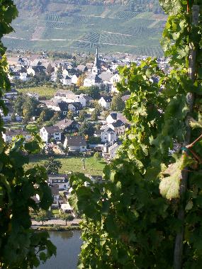 Holiday Apartment in Piesport (Mosel - Saar) or holiday homes and vacation rentals