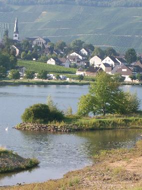 Holiday Apartment in Piesport (Mosel - Saar) or holiday homes and vacation rentals