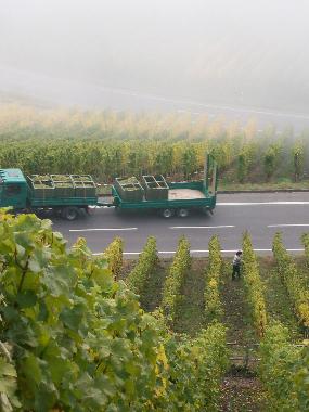 Holiday Apartment in Piesport (Mosel - Saar) or holiday homes and vacation rentals