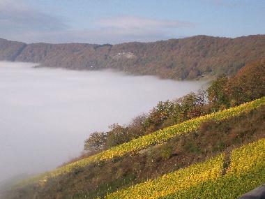 Holiday Apartment in Piesport (Mosel - Saar) or holiday homes and vacation rentals