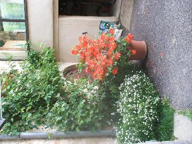 Holiday House in passenans (Jura) or holiday homes and vacation rentals