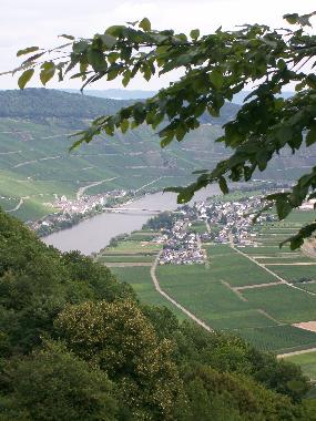 Holiday Apartment in Piesport (Mosel - Saar) or holiday homes and vacation rentals