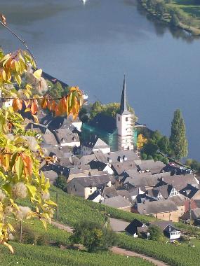 Holiday Apartment in Piesport (Mosel - Saar) or holiday homes and vacation rentals