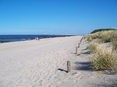 Holiday Apartment in Zempin (Ostsee-Inseln) or holiday homes and vacation rentals