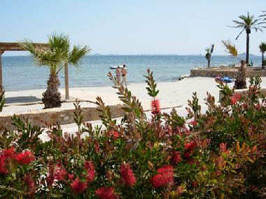 Holiday House in Torre Pacheco (Murcia) or holiday homes and vacation rentals