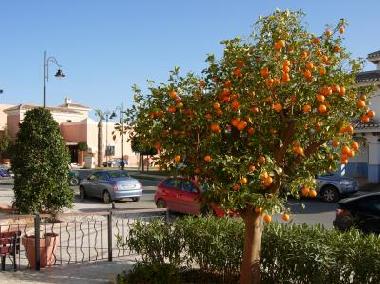 Holiday House in Torre Pacheco (Murcia) or holiday homes and vacation rentals