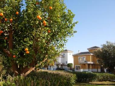 Holiday House in Torre Pacheco (Murcia) or holiday homes and vacation rentals