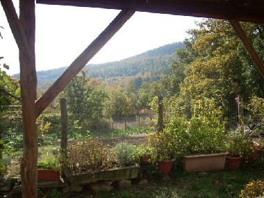 Holiday Apartment in Salutio (Arezzo) or holiday homes and vacation rentals