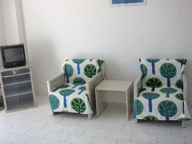 livingroom chairs