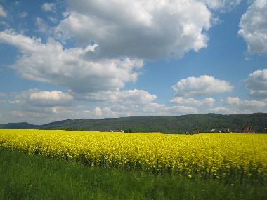 Holiday Apartment in Vysoky Ujezd u Berouna (Stredocesky Kraj) or holiday homes and vacation rentals