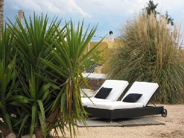 Holiday House in Alicante/ Busot (Alicante / Alacant) or holiday homes and vacation rentals