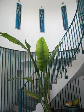 Holiday House in Alicante/ Busot (Alicante / Alacant) or holiday homes and vacation rentals