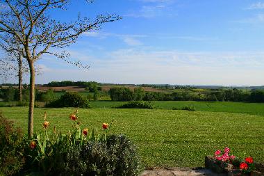 view from the terrace