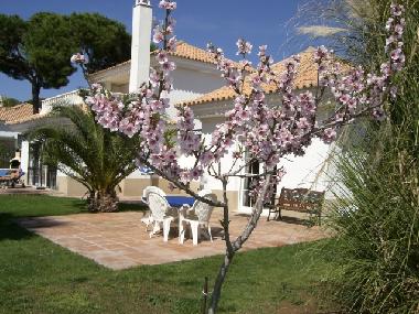 Holiday House in Nuevo Portil (Huelva) or holiday homes and vacation rentals