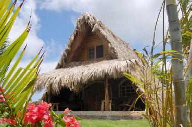 Holiday House in Las Galeras - Samana (Samana) or holiday homes and vacation rentals