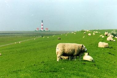 Holiday Apartment in St.Peter-Ording Dorf (Nordsee-Festland) or holiday homes and vacation rentals