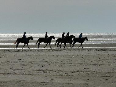 Holiday Apartment in St.Peter-Ording Dorf (Nordsee-Festland) or holiday homes and vacation rentals