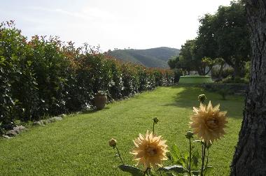 Holiday Apartment in Llan�� Valleta (Girona) or holiday homes and vacation rentals