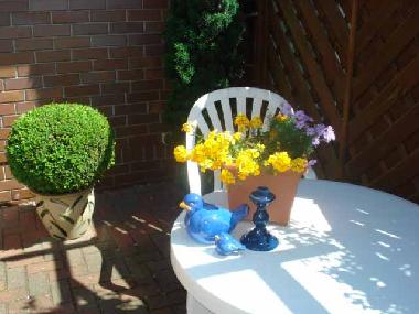 Holiday Apartment in Ostseebad Dierhagen (Fischland-Dar-Zingst) or holiday homes and vacation rentals