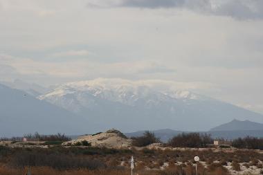 Holiday House in Leucate (Aude) or holiday homes and vacation rentals