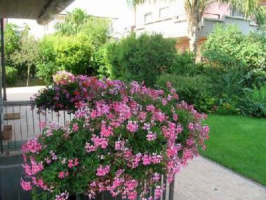 Holiday Apartment in Soverato-Davoli.... (Catanzaro) or holiday homes and vacation rentals