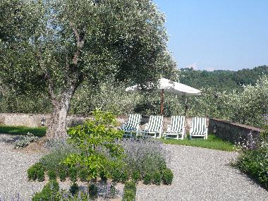 Holiday House in Lucca (Lucca) or holiday homes and vacation rentals