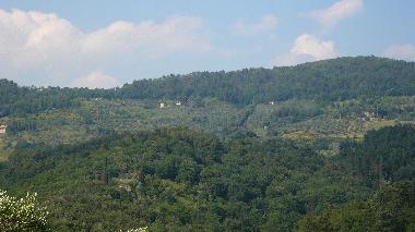 Holiday House in Lucca (Lucca) or holiday homes and vacation rentals