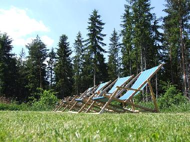 Holiday Apartment in Kosiarny Briezok (Kosicky) or holiday homes and vacation rentals
