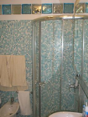 Holiday Apartment in NICE (Var) or holiday homes and vacation rentals