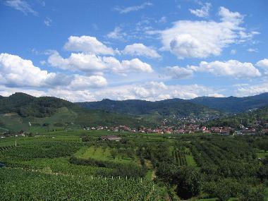 Holiday Apartment in Buehl (Black Forest) or holiday homes and vacation rentals