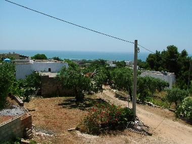 Holiday House in Pescoluse (Lecce) or holiday homes and vacation rentals