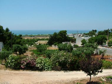 Holiday House in Pescoluse (Lecce) or holiday homes and vacation rentals