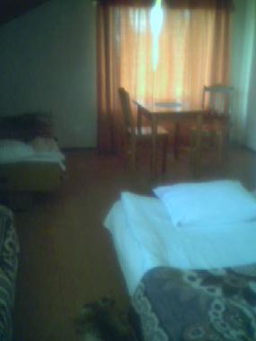 Bed and Breakfast in Jeleniewo (Podlaskie) or holiday homes and vacation rentals