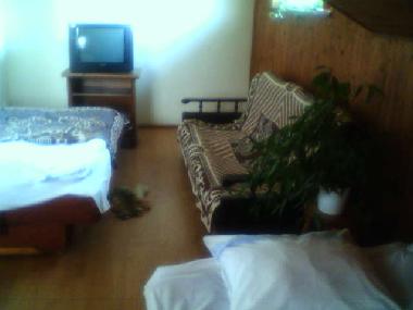 Bed and Breakfast in Jeleniewo (Podlaskie) or holiday homes and vacation rentals