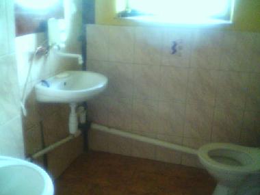 Bed and Breakfast in Jeleniewo (Podlaskie) or holiday homes and vacation rentals