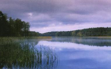 Bed and Breakfast in Jeleniewo (Podlaskie) or holiday homes and vacation rentals